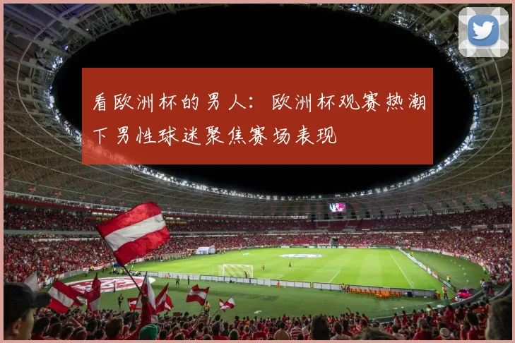 看欧洲杯的男人：欧洲杯观赛热潮下男性球迷聚焦赛场表现