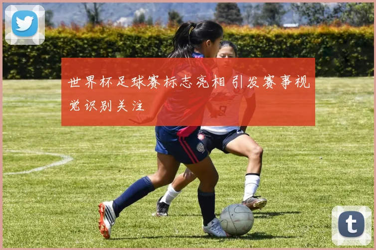 世界杯足球赛标志亮相 引发赛事视觉识别关注