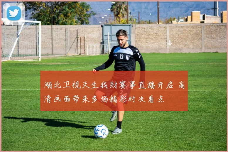 湖北卫视天生我财赛事直播开启 高清画面带来多场精彩对决看点