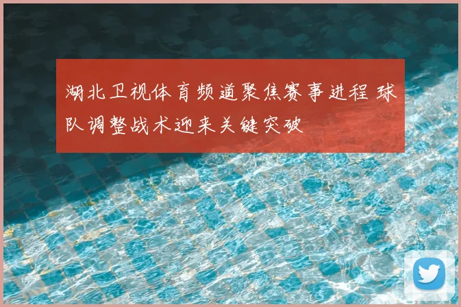 湖北卫视体育频道聚焦赛事进程 球队调整战术迎来关键突破